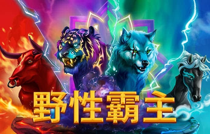 55234.77官网进入